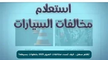 تظلم سهل.. كيف تسدد مخالفات المرور 2025 بخطوات بسيطة؟